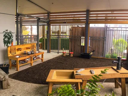 Why Auckland Kindergartens Are Embracing Nature-Based Learning