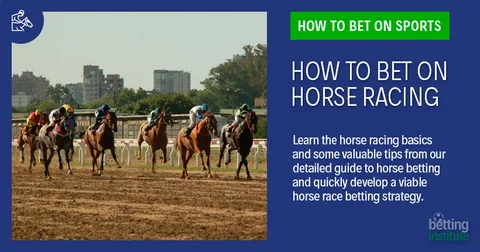 Expert Tips to Improve Your Horse Racing Betting Success Rate